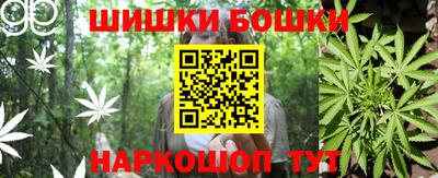 СК Будённовск