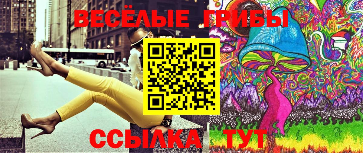 Галлюциногенные грибы мицелий Строитель